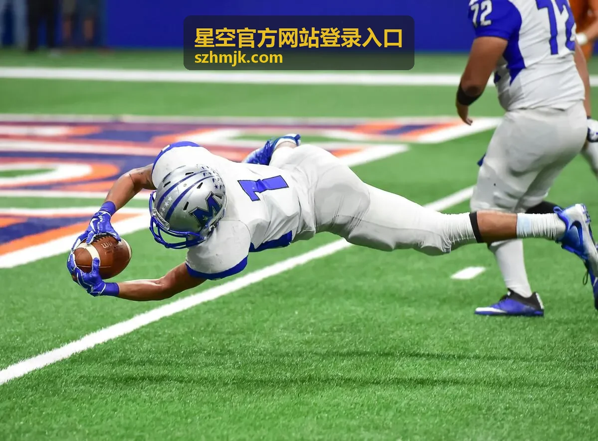 星空官方网站登录入口 账号登录场景图示